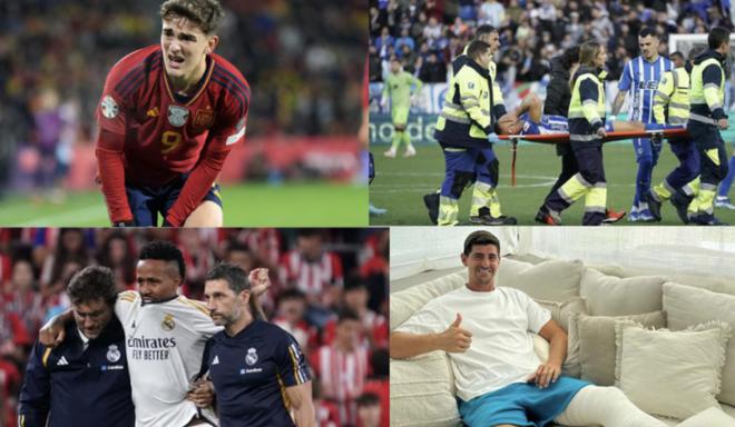 美洲的年轻 美洲的年轻